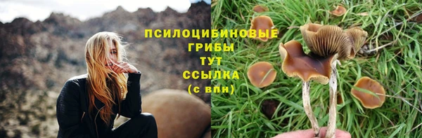 альфа пвп Нефтекумск