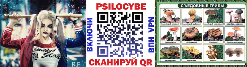 Псилоцибиновые грибы Psilocybe где купить сайты даркнета клад Бавлы блэк спрут рабочий сайт